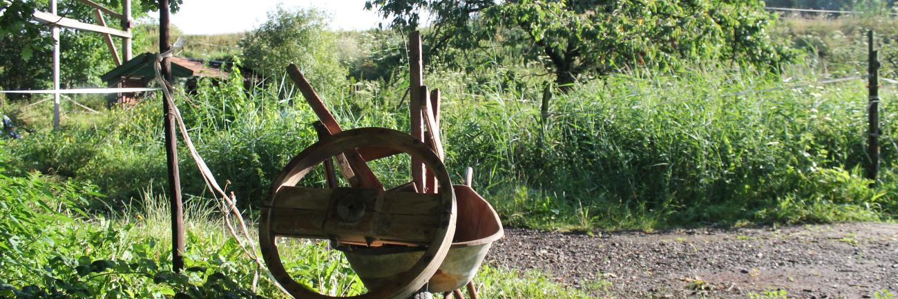 Tuingereedschap in een weelderige tuin.
